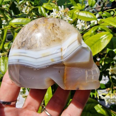 achat-asvany-koponya