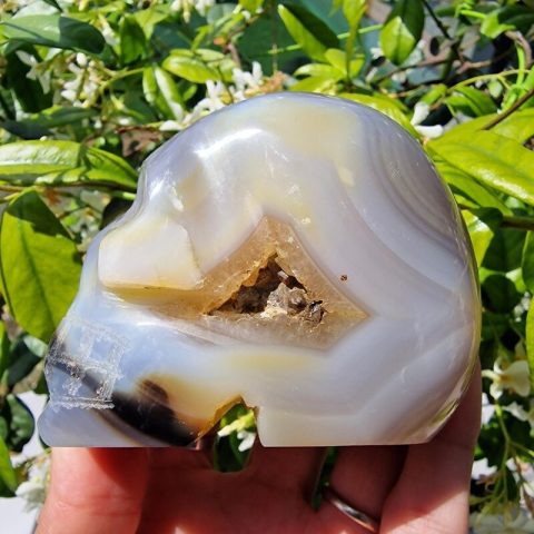 achat-asvany-koponya