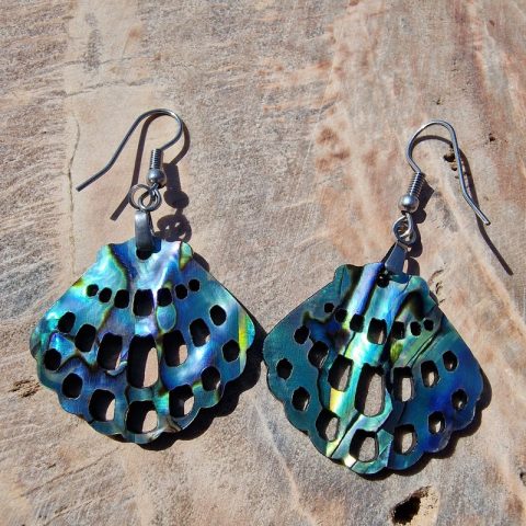 abalone-kagylo-fulbevalo