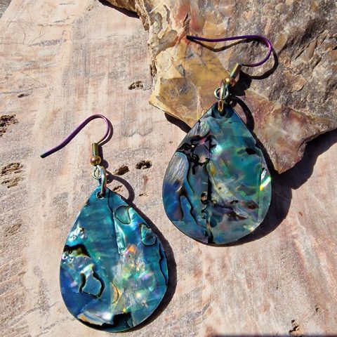 abalone-kagylo-fulbevalo