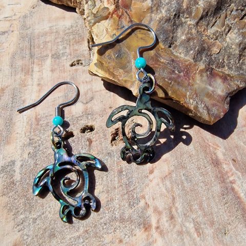 abalone-kagylo-fulbevalo